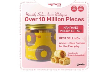 Nan Yang Pineapple Tart